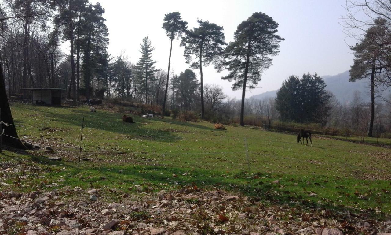 Agriturismo Villa Brugolta Lavena Ponte Tresa Buitenkant foto